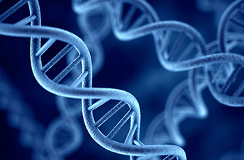 Biología Molecular por PCR